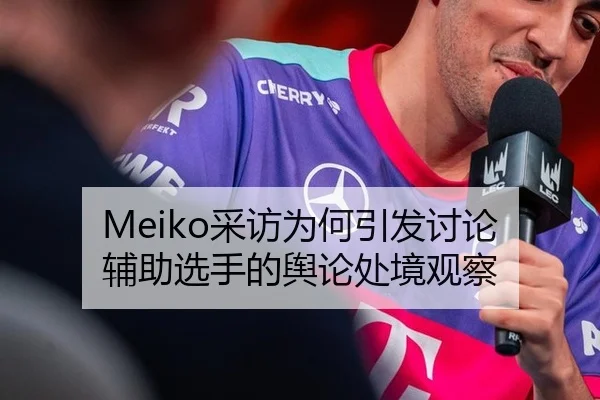 Meiko采访为何引发讨论 辅助选手的舆论处境观察